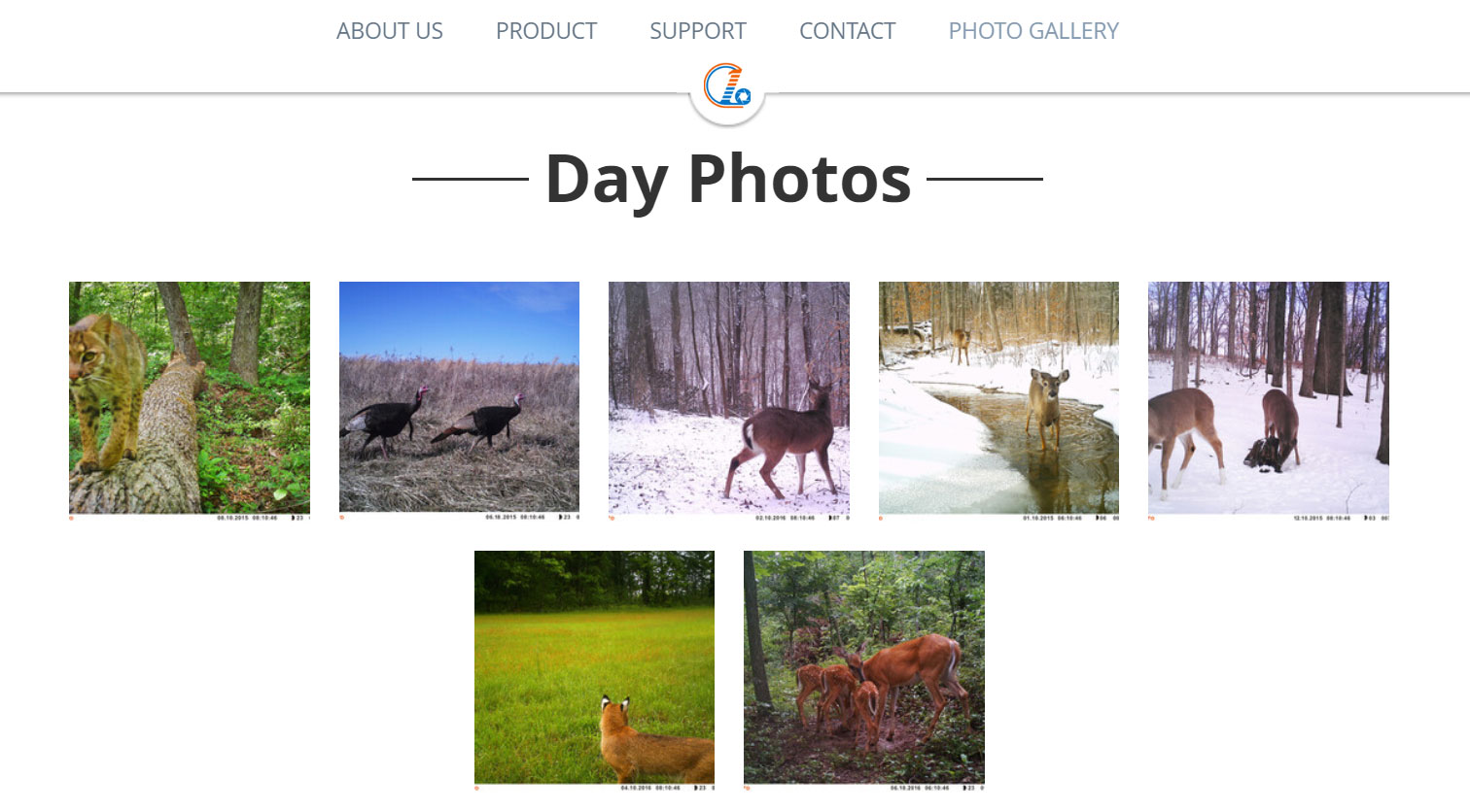 photo gallery photo gallery